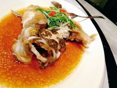 笋壳鱼-紫圆 · 雅宴高级餐厅(杭州东站店)