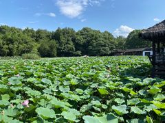 -兰亭风景区