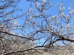 -长春公园(普阳街道)