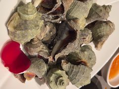 -前海沿·青岛菜(大拇指广场石老人店)