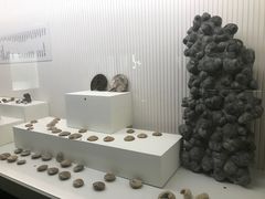 -青岛贝壳博物馆
