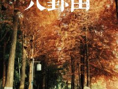 -八卦田遗址公园