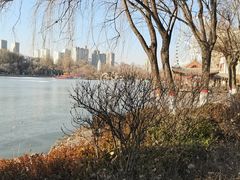 -西宁市人民公园(城西区)