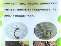 -上海昆虫博物馆