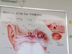 -自然之声助听器·呼吸机(翠微大厦店)