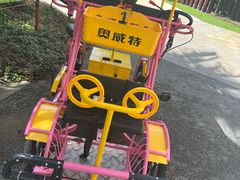 -三亚海棠湾喜来登度假酒店