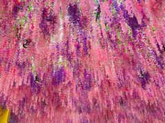 -名创优品(天河区正佳广场二店)