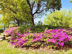 -长兴太湖图影湿地文化园