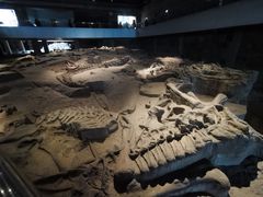 -自贡恐龙博物馆