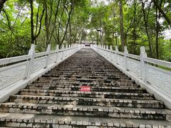 -老君山