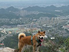 -午潮山国家森林公园