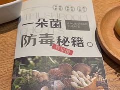 -一朵菌·野生菌探索家火锅(南亚店)