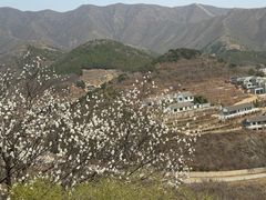 -府君山公园