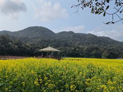 景点-广州市石门国家森林公园
