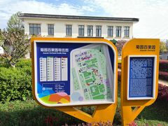 -菊园百果园