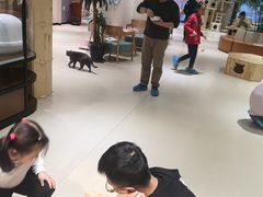 -藏猫猫咖啡主题馆(中央大道店)