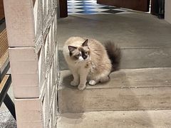 -seeu coffee(江滩店)