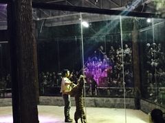 -清迈夜间动物园