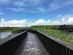 -芒洲湿地公园