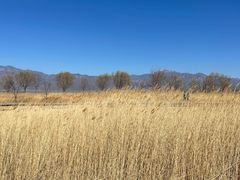 -野鸭湖国家湿地公园