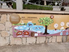 -深圳湾公园(南山区)