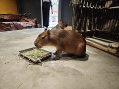 -太阳岛旅游度假区