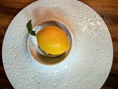 -六月花园咖啡馆(中关村东路店)