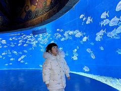 -哈尔滨波塞冬海底世界