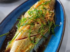 -阿尔法海鲜排档(爱琴海店)