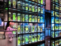 -广东中医药博物馆