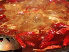 -朱光玉火锅馆(正弘城店)