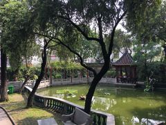 -碧江金楼