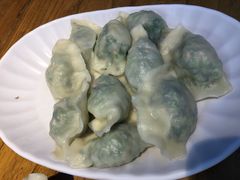 茴香猪肉水饺（小份）-一轩饺子馆(丽都店)
