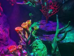 -沈阳海洋探索中心