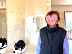 -阿尔罕布拉宫