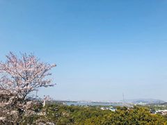 -香雪海