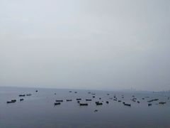 -悦港(悦港酒店)