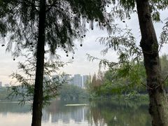 -重庆彩云湖湿地公园