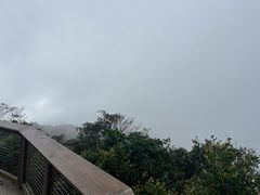 -海南铜鼓岭景区