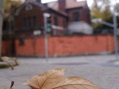 -乌鲁木齐路老洋房