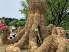 -东方绿舟景区