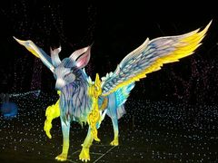 -珠海海泉湾神秘岛亲子乐园