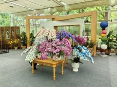 -上海鲜花港