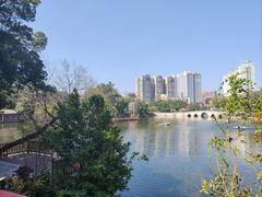 -荔湾湖公园