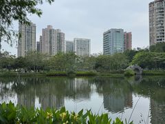 -四海公园(南山区)