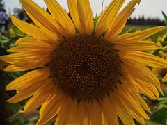 -汉长安城未央宫国家考古遗址公园