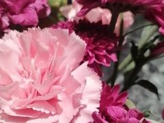 -左陕右甘(亚运村店)