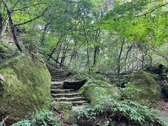 -五女峰国家森林公园