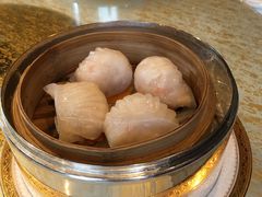 虾饺-唐阁(香港朗廷酒店)