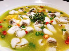 招牌青椒鱼-青花椒花椒鱼(合生汇店)